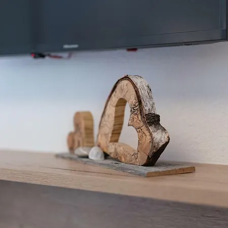 Διαμέρισμα Schoepf